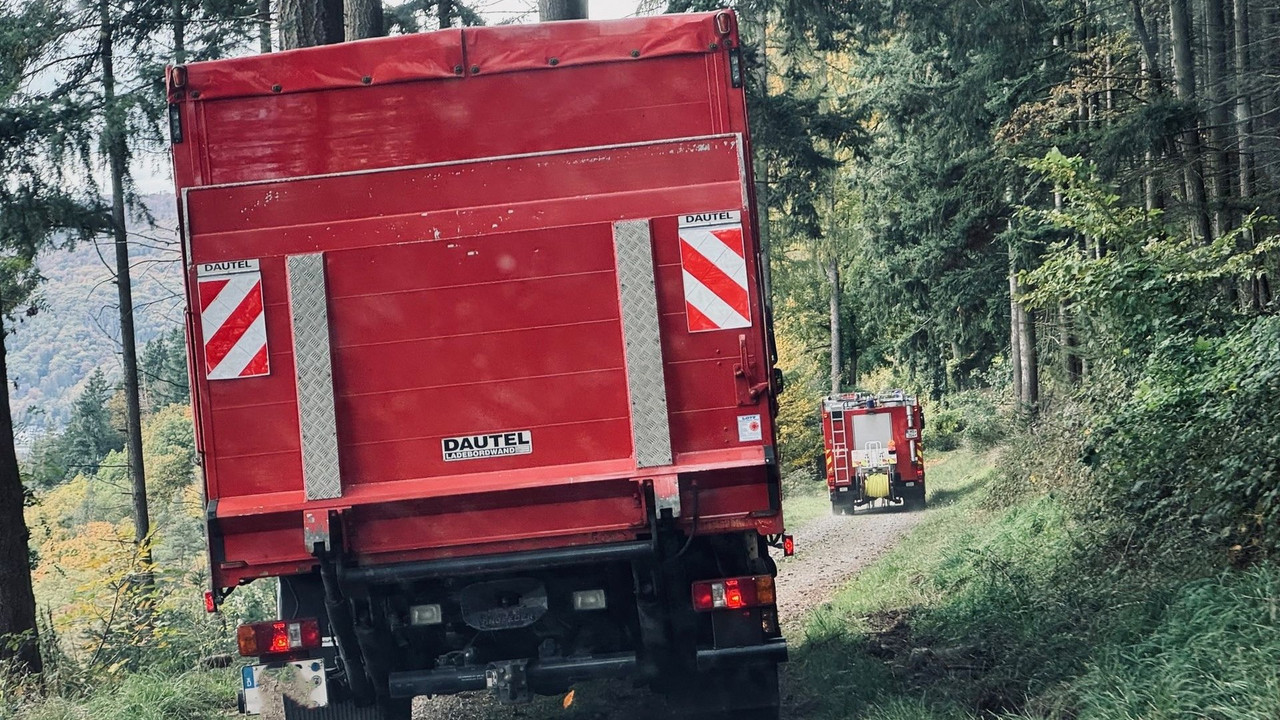 Einsatzfahrzeuge im Wald